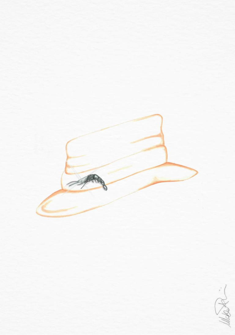 Screenshot 2025-06-20 at 00.22